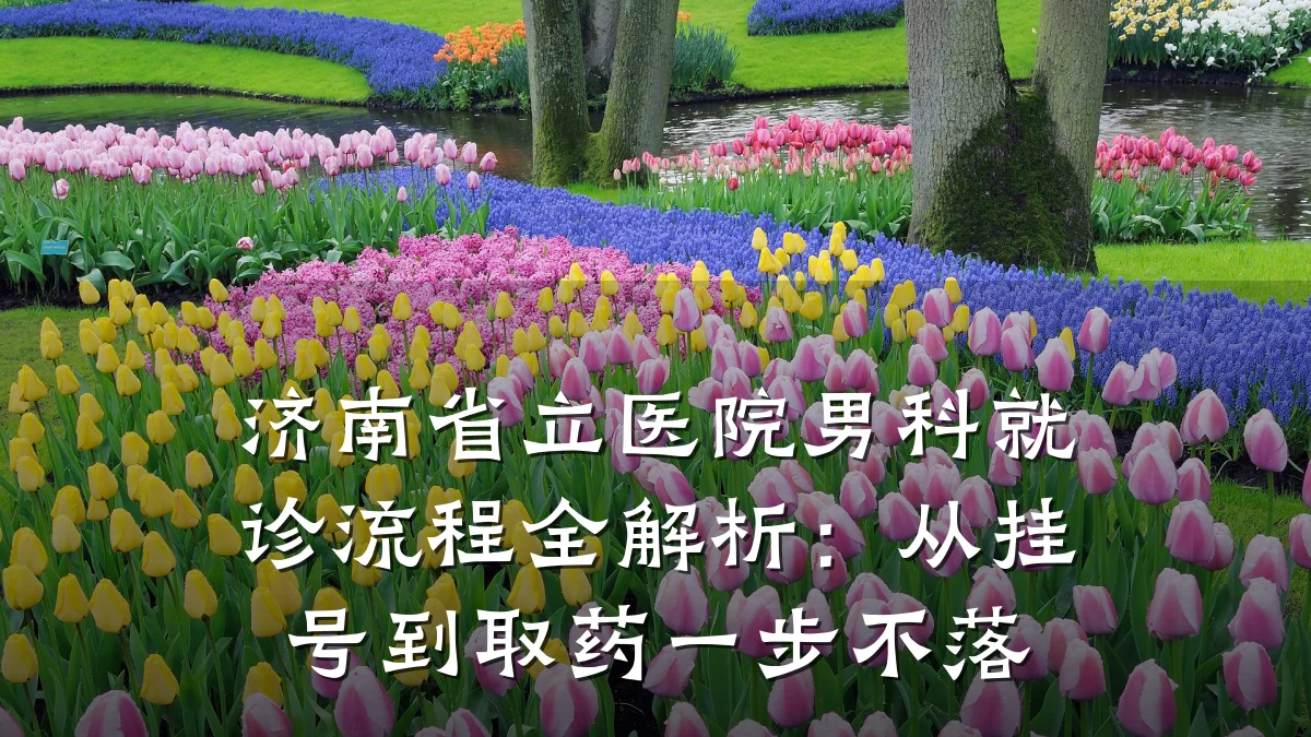 济南省立医院男科就诊流程全解析:从挂号到取药一步不落
