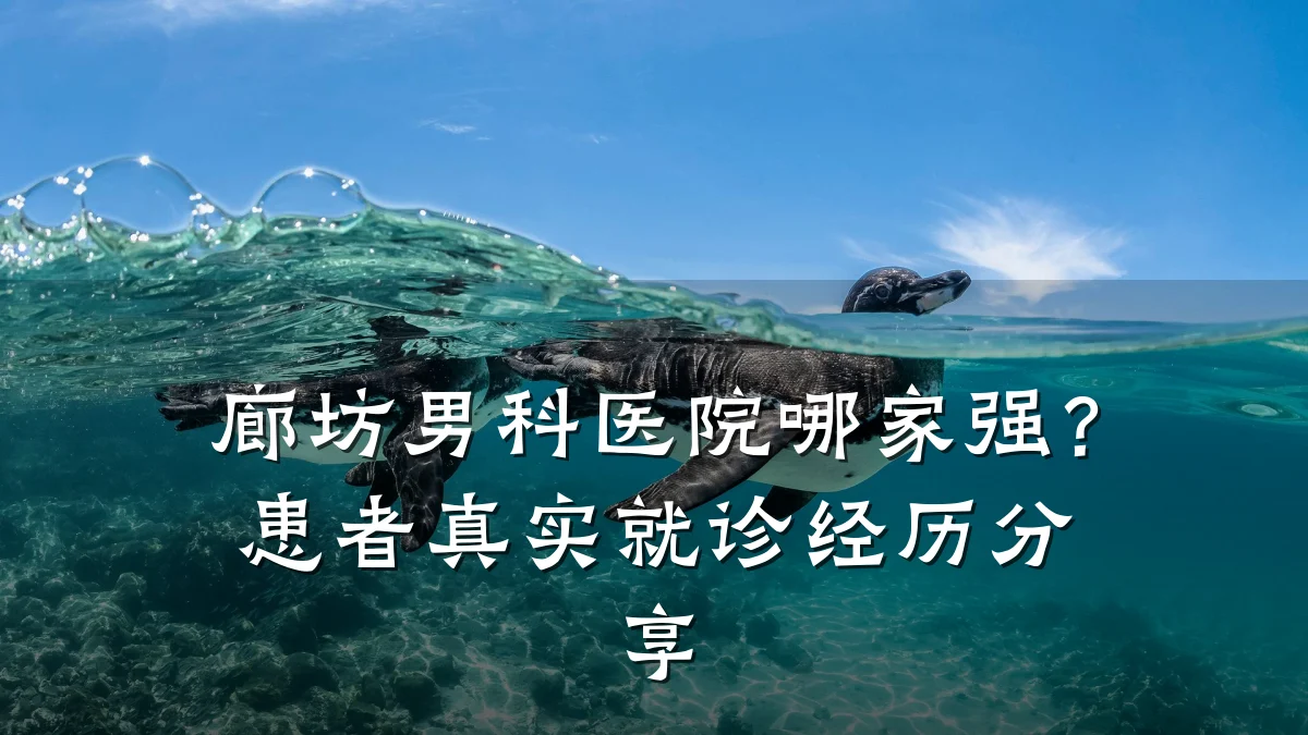 廊坊男科医院哪家强?患者真实就诊经历分享