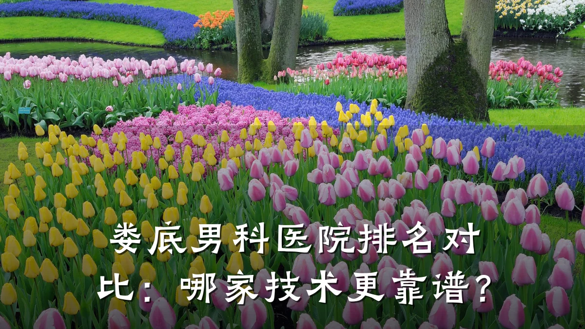 娄底男科医院排名对比:哪家技术更靠谱?