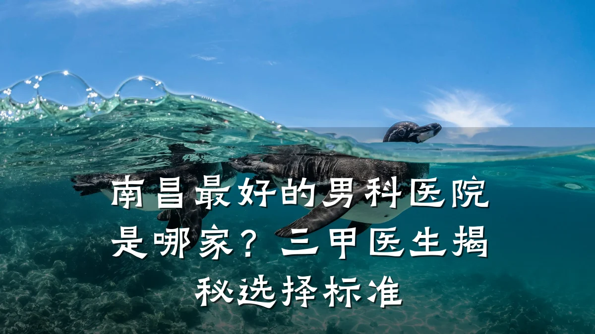南昌最好的男科医院是哪家?三甲医生揭秘选择标准