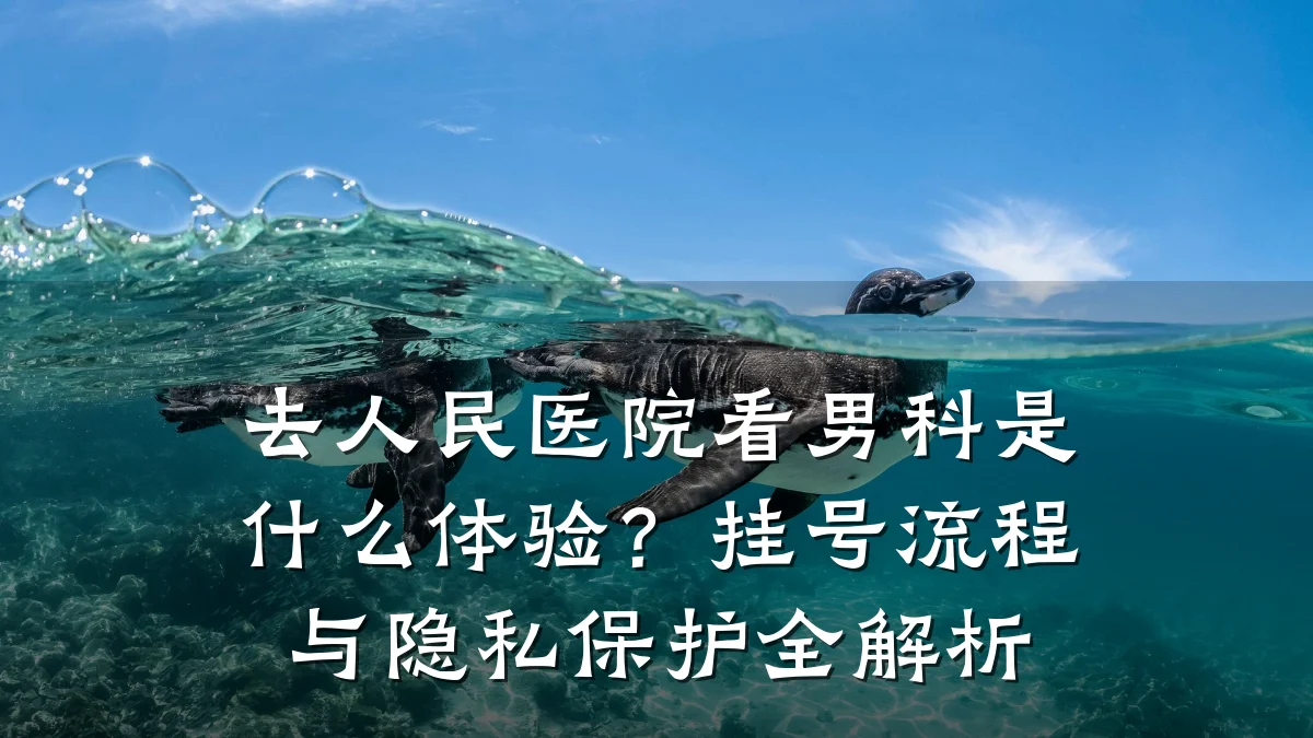 去人民医院看男科是什么体验?挂号流程与隐私保护全解析