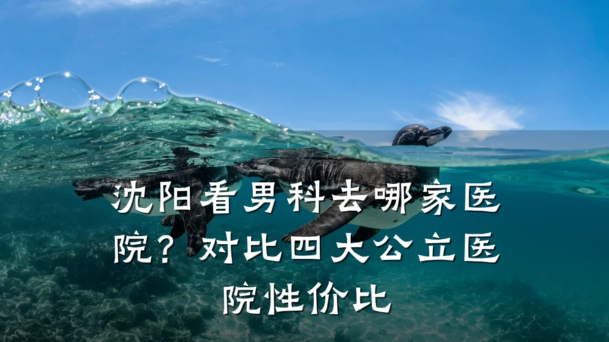 沈阳看男科去哪家医院?对比四大公立医院性价比