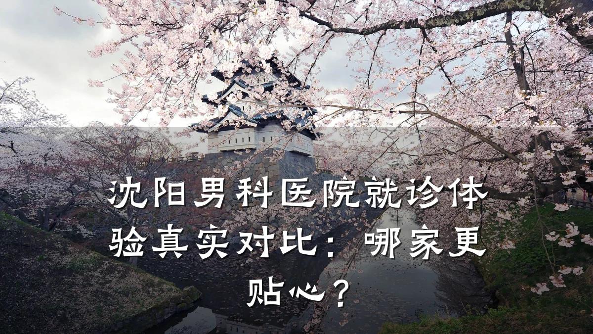沈阳男科医院就诊体验真实对比:哪家更贴心?