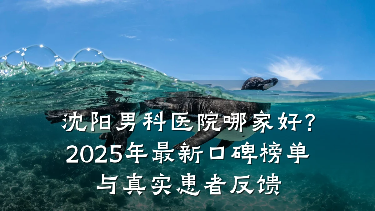 沈阳男科医院哪家好?2025年最新口碑榜单与真实患者反馈