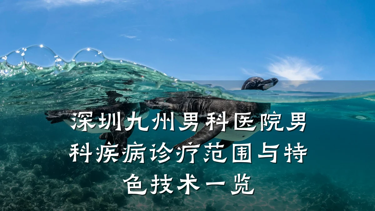 深圳九州男科医院男科疾病诊疗范围与特色技术一览