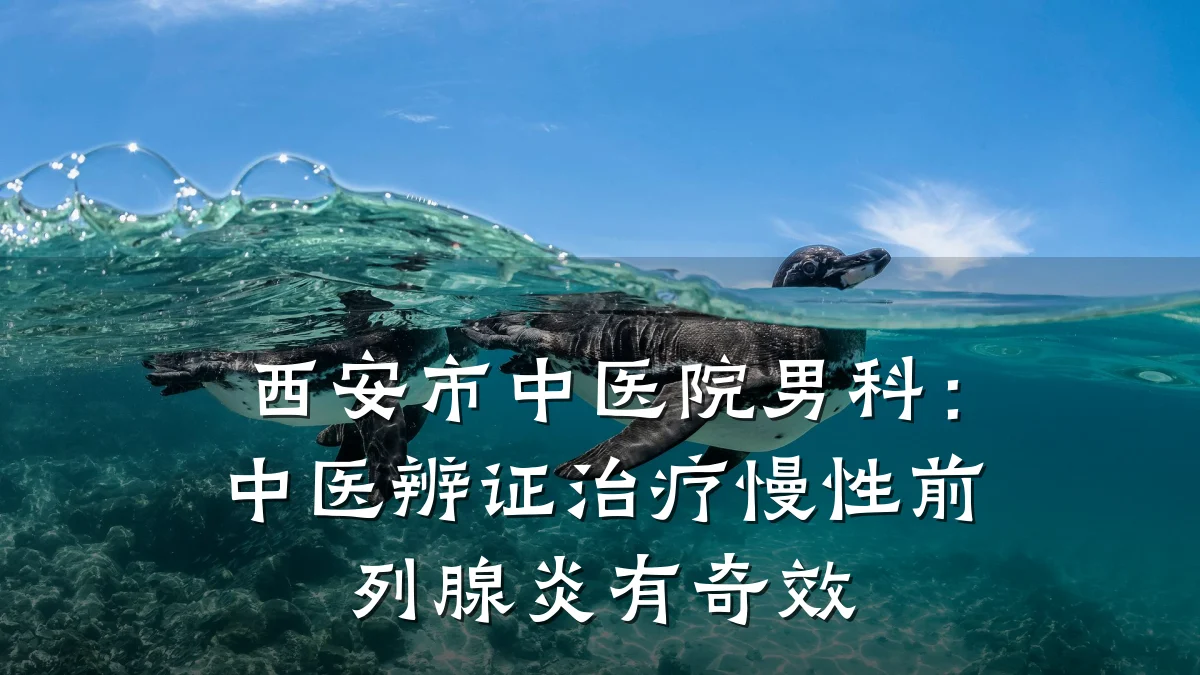 西安市中医院男科:中医辨证治疗慢性前列腺炎有奇效