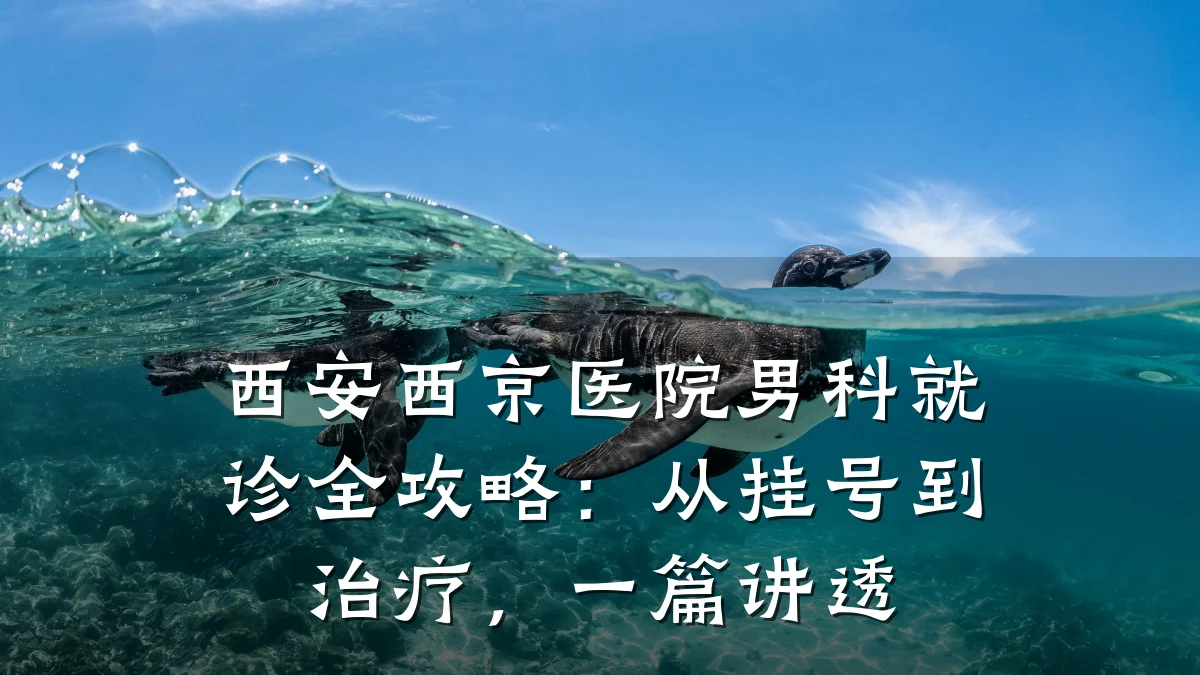 西安西京医院男科就诊全攻略:从挂号到治疗,一篇讲透