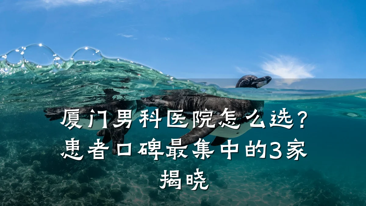厦门男科医院怎么选?患者口碑最集中的3家揭晓