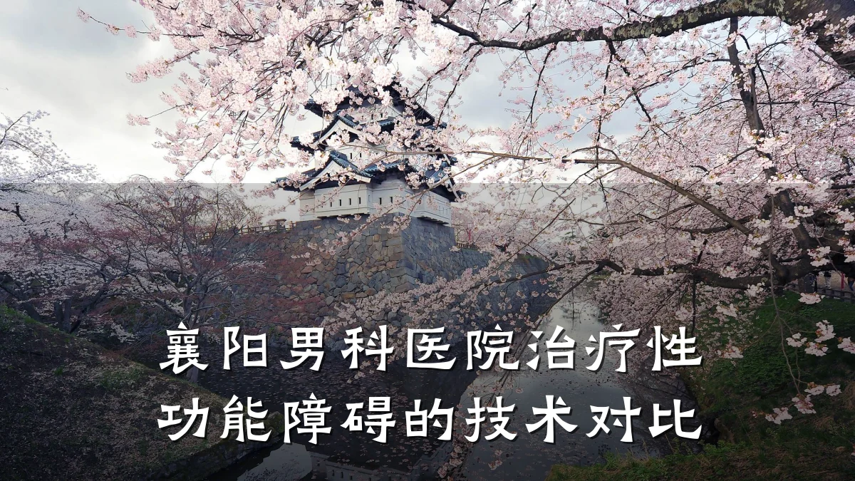 襄阳男科医院治疗性功能障碍的技术对比