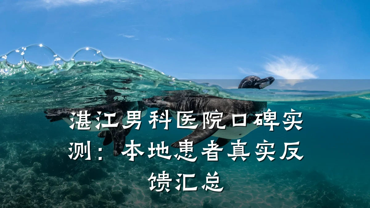 湛江男科医院口碑实测:本地患者真实反馈汇总