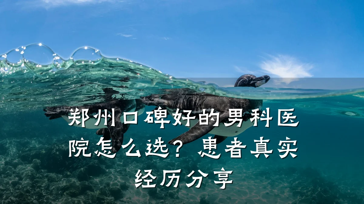 郑州口碑好的男科医院怎么选?患者真实经历分享