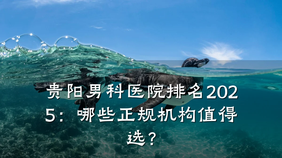 贵阳男科医院排名2025:哪些正规机构值得选?