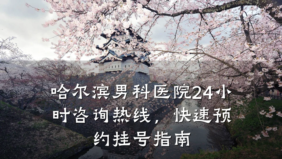 哈尔滨男科医院24小时咨询热线,快速预约挂号指南