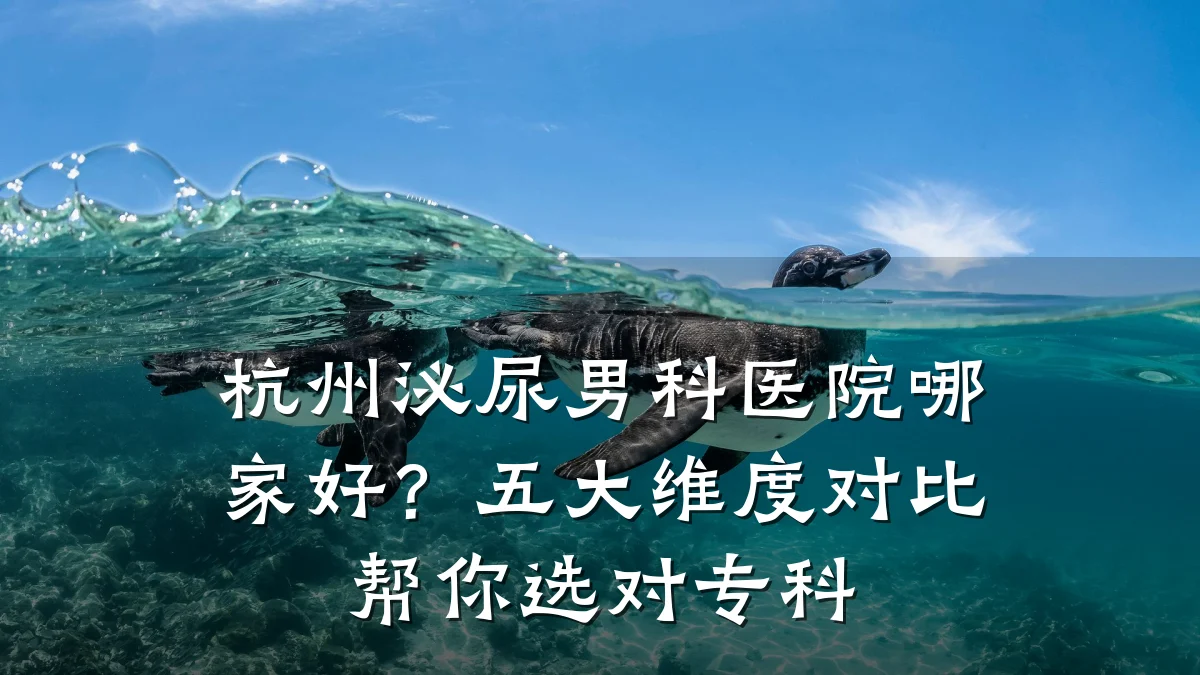 杭州泌尿男科医院哪家好?五大维度对比帮你选对专科