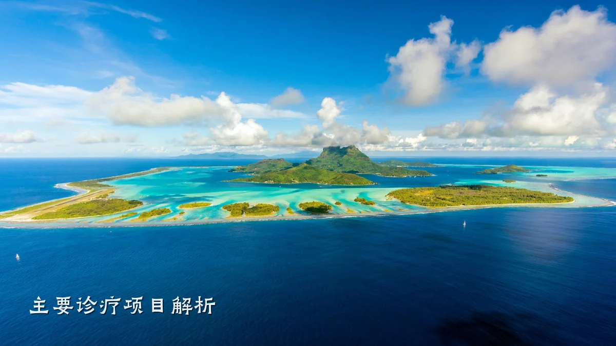 主要诊疗项目解析