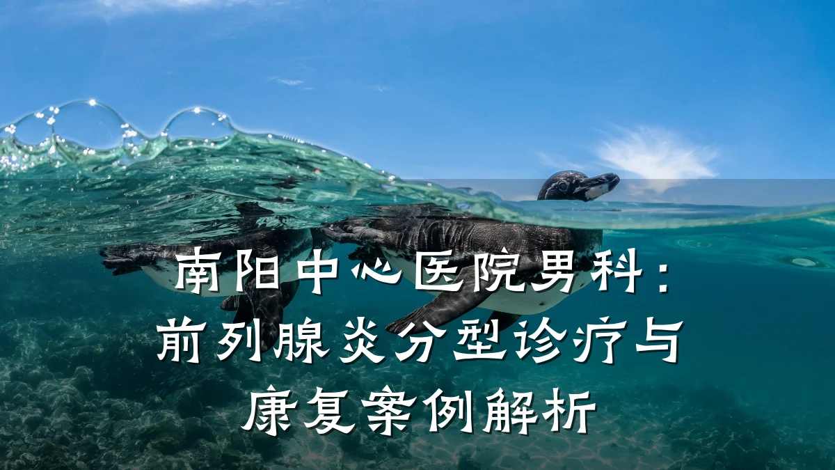 南阳中心医院男科:前列腺炎分型诊疗与康复案例解析