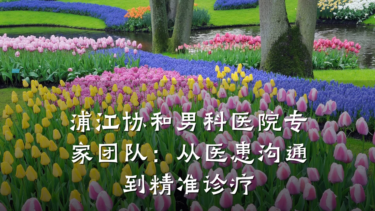 浦江协和男科医院专家团队:从医患沟通到精准诊疗