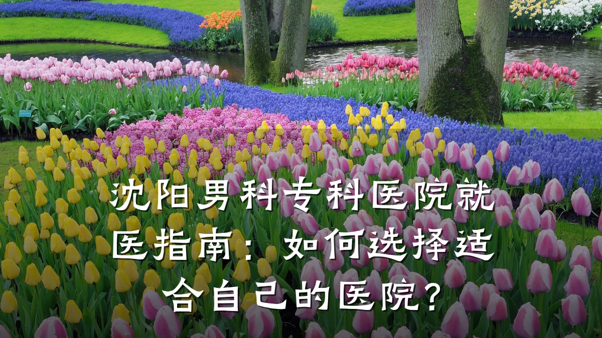 沈阳男科专科医院就医指南:如何选择适合自己的医院?