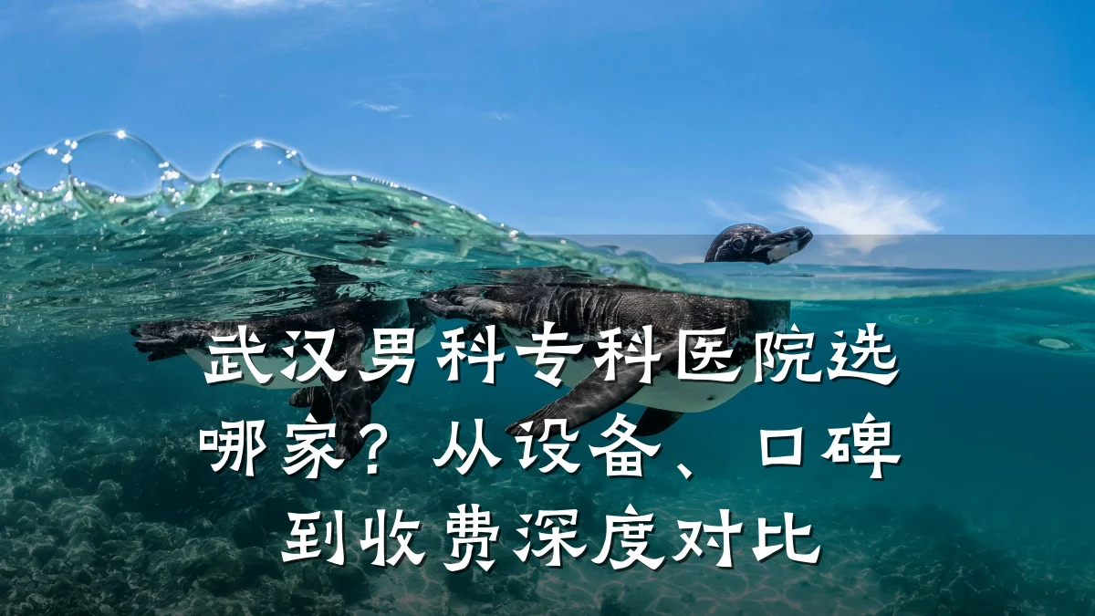 武汉男科专科医院选哪家?从设备、口碑到收费深度对比