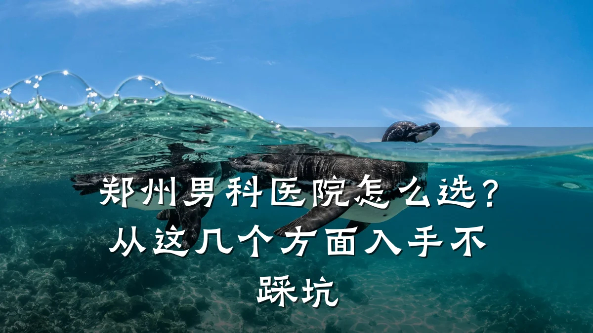 郑州男科医院怎么选?从这几个方面入手不踩坑