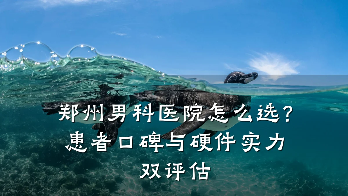 郑州男科医院怎么选?患者口碑与硬件实力双评估