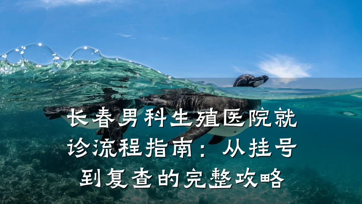 长春男科生殖医院就诊流程指南:从挂号到复查的完整攻略