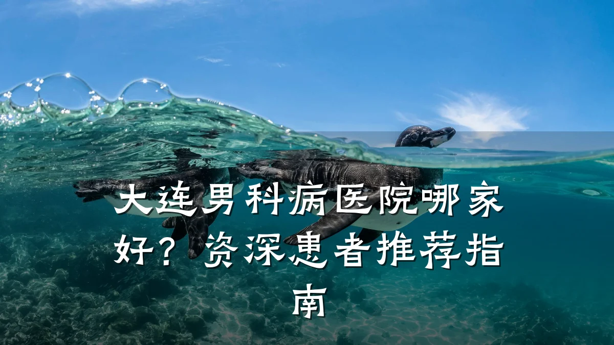 大连男科病医院哪家好?资深患者推荐指南