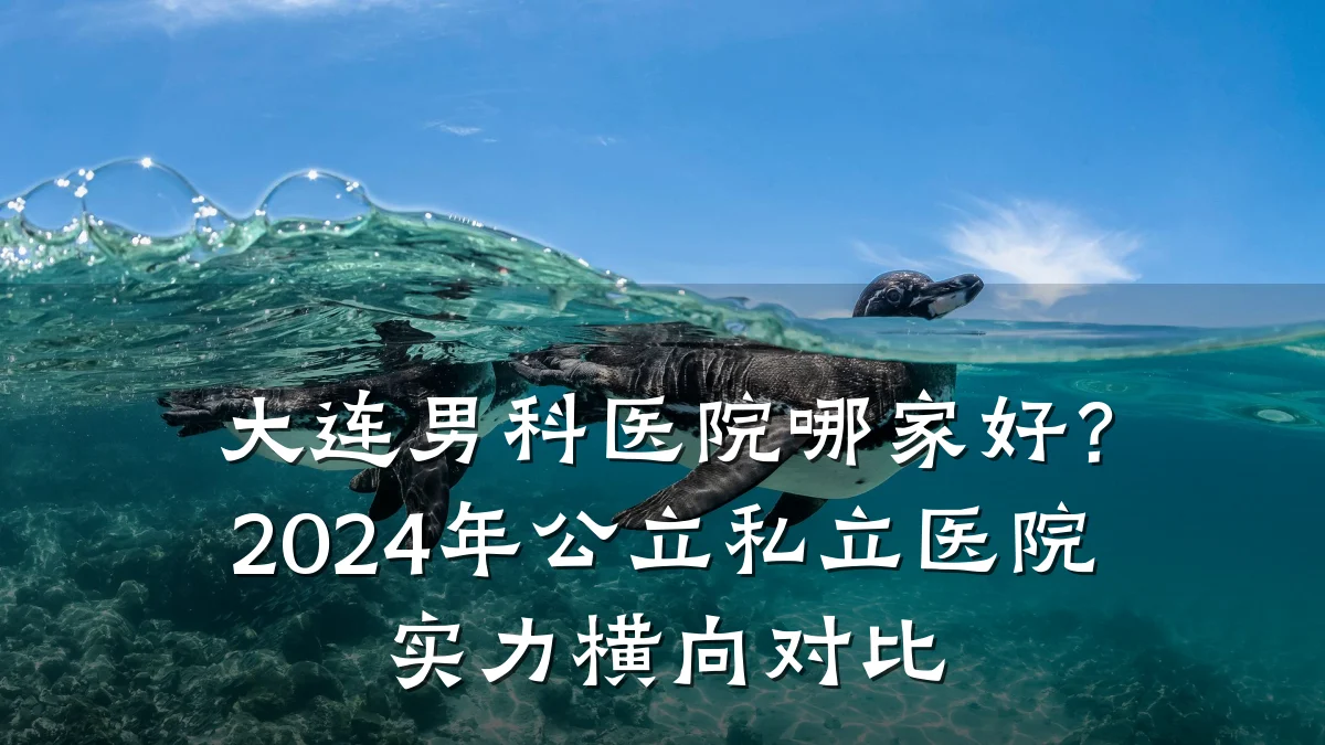 大连男科医院哪家好?2024年公立私立医院实力横向对比