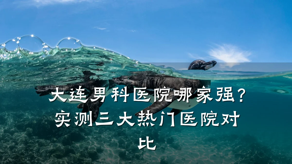 大连男科医院哪家强?实测三大热门医院对比