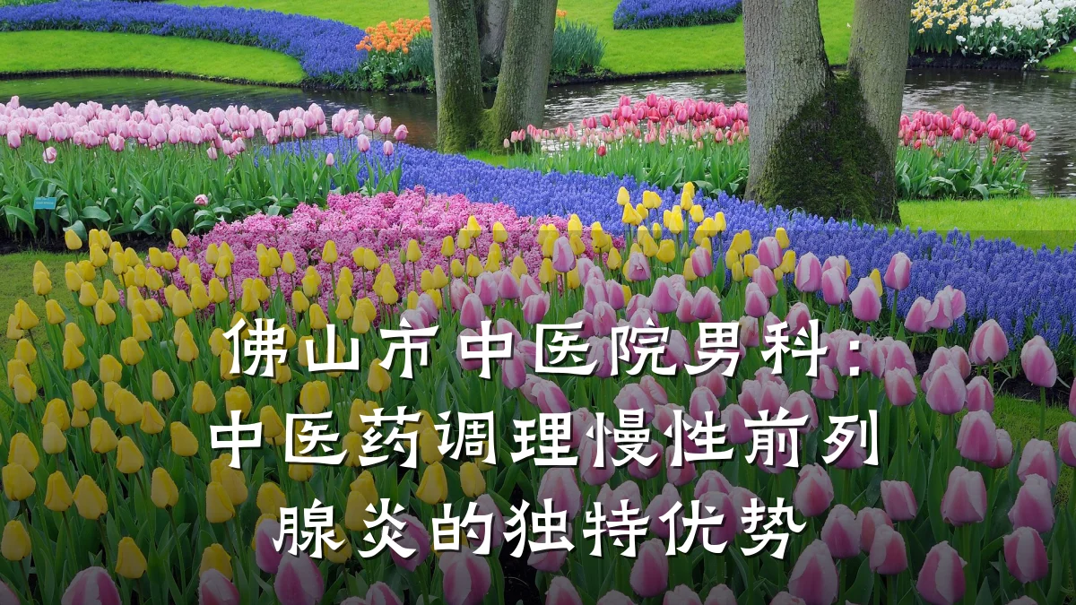 佛山市中医院男科:中医药调理慢性前列腺炎的独特优势
