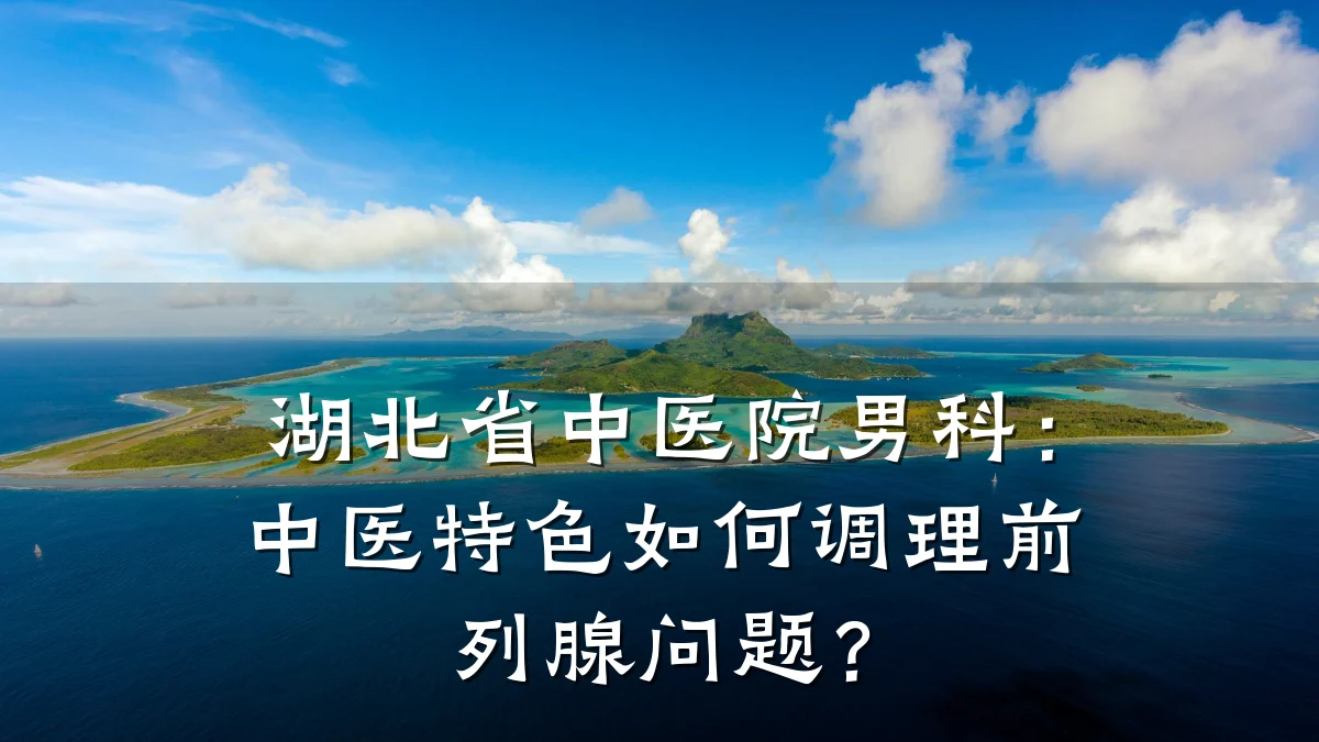 湖北省中医院男科:中医特色如何调理前列腺问题?