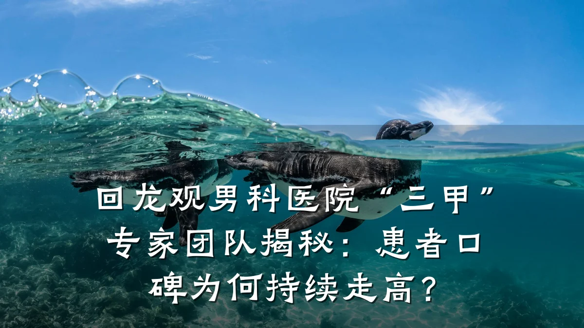 回龙观男科医院“三甲”专家团队揭秘:患者口碑为何持续走高?