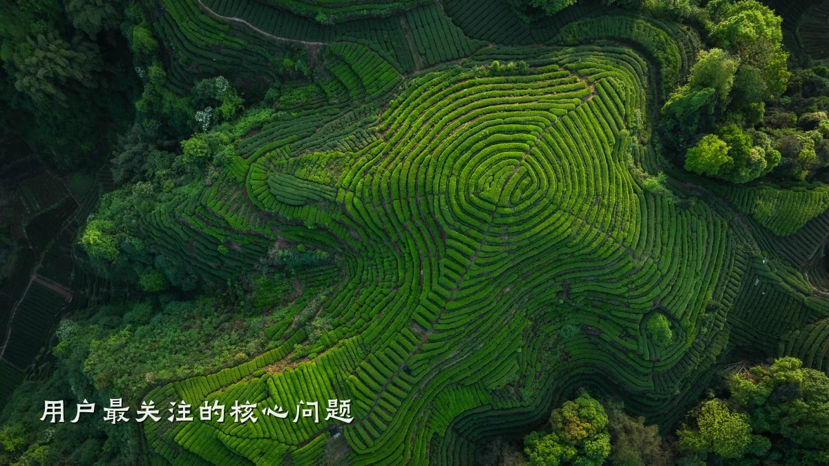 用户最关注的核心问题