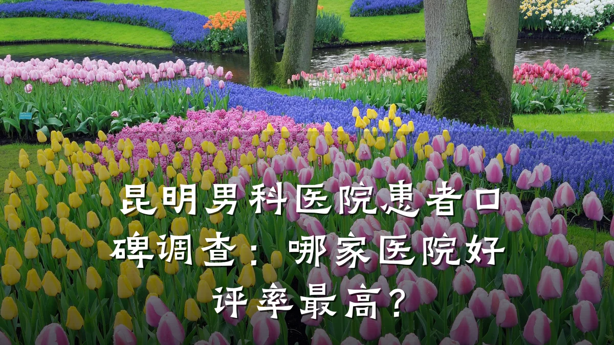 昆明男科医院患者口碑调查:哪家医院好评率最高?