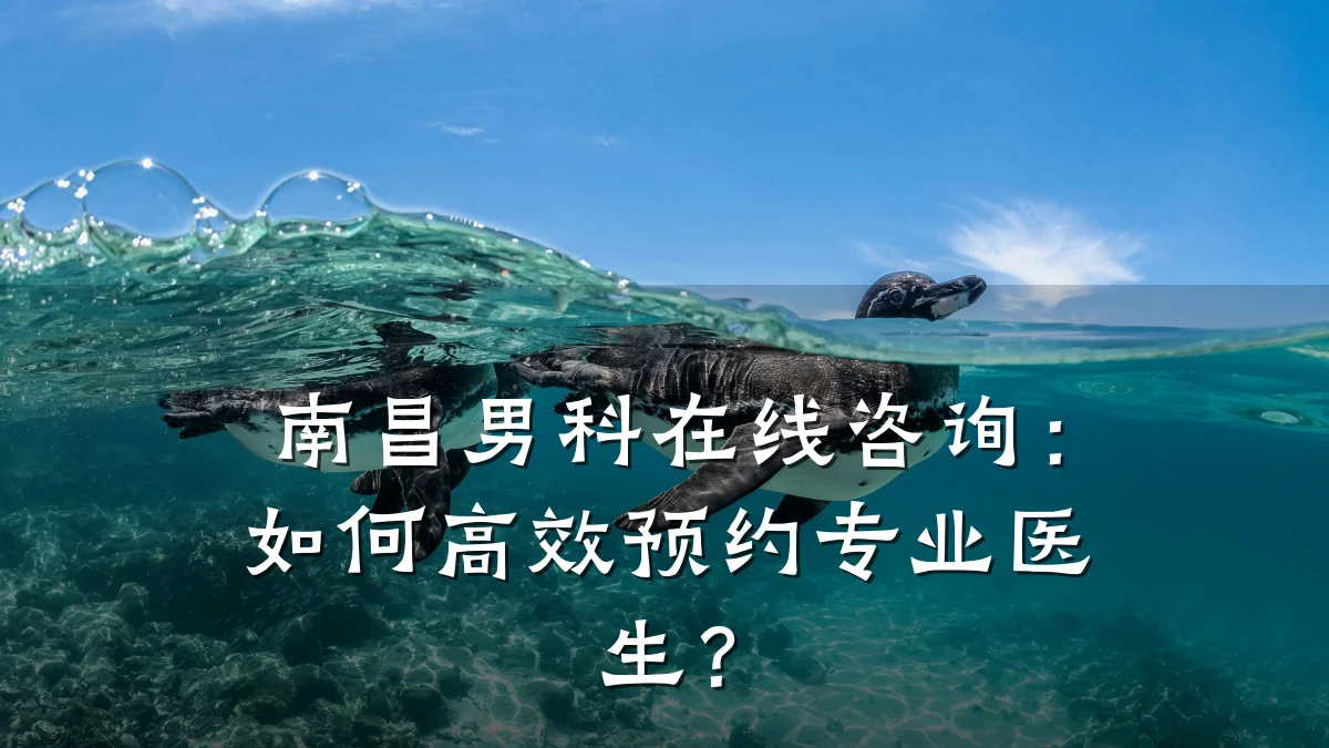 南昌男科在线咨询:如何高效预约专业医生?