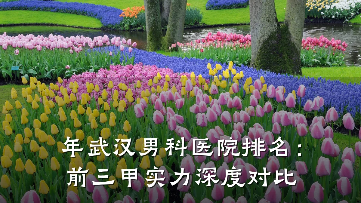 年武汉男科医院排名:前三甲实力深度对比