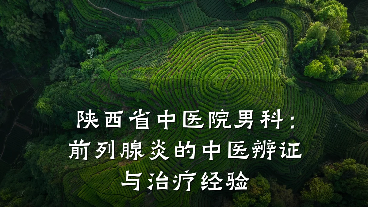 陕西省中医院男科:前列腺炎的中医辨证与治疗经验