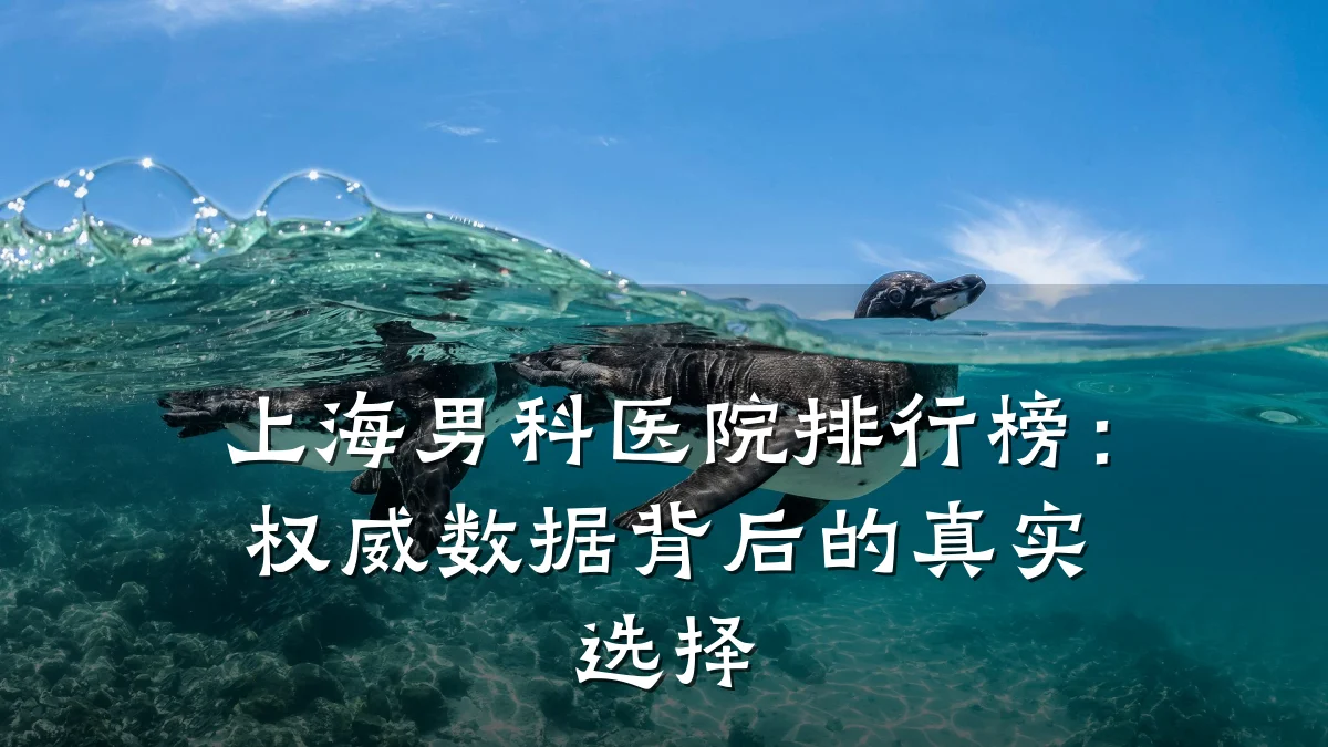 上海男科医院排行榜:权威数据背后的真实选择