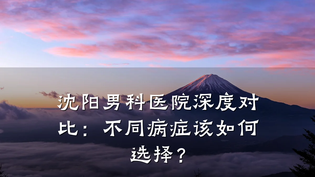 沈阳男科医院深度对比:不同病症该如何选择?