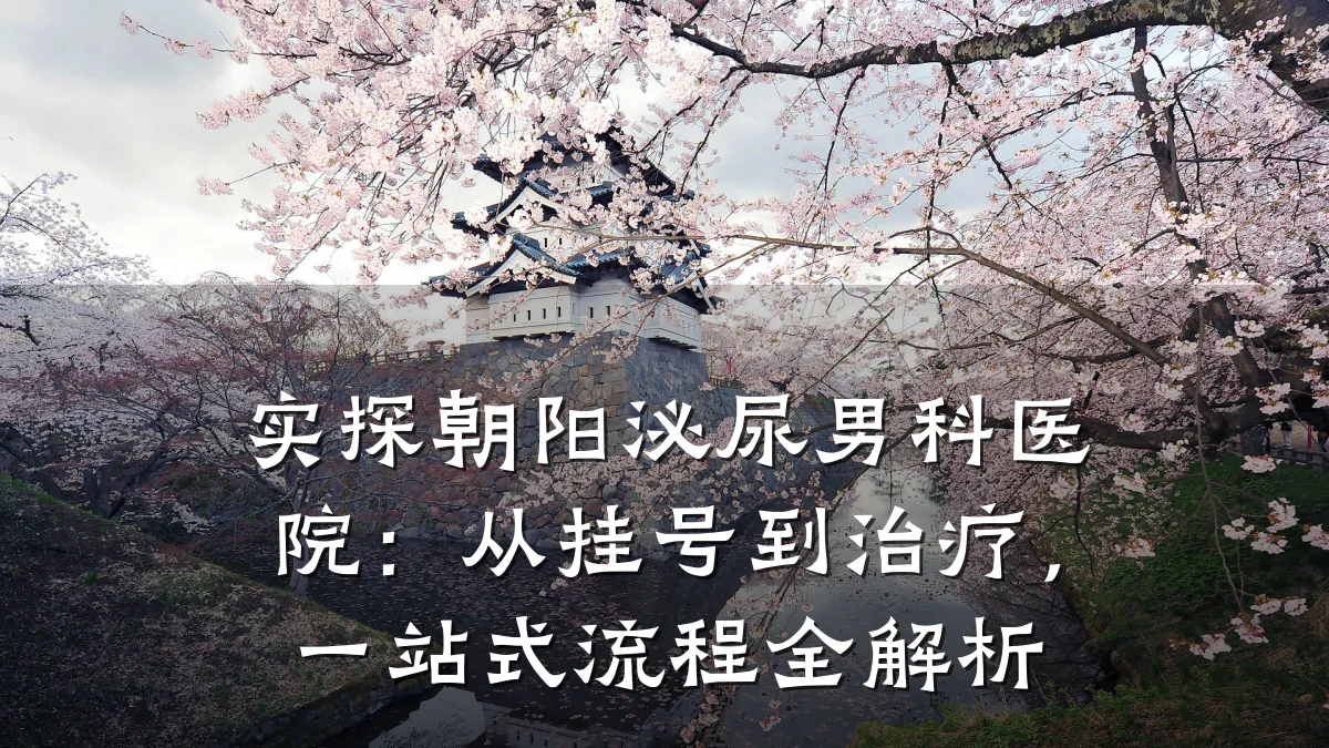 实探朝阳泌尿男科医院:从挂号到治疗,一站式流程全解析