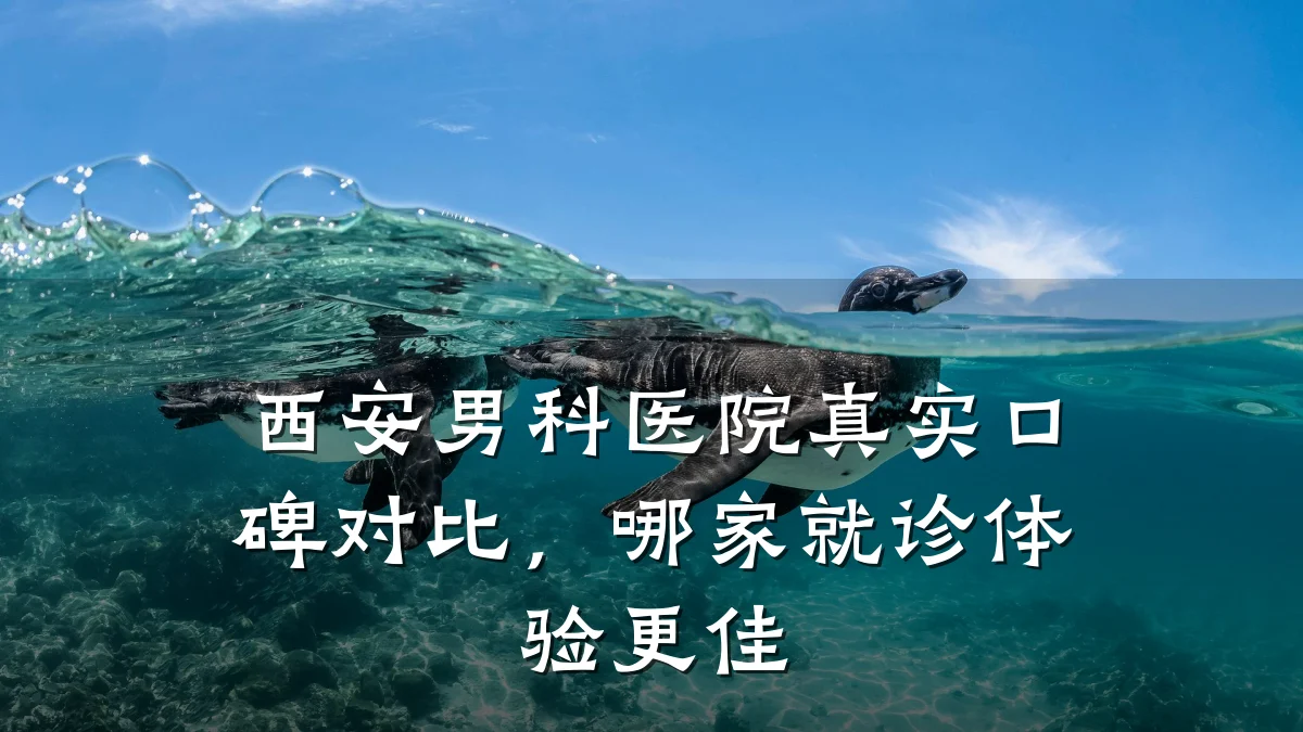 西安男科医院真实口碑对比,哪家就诊体验更佳