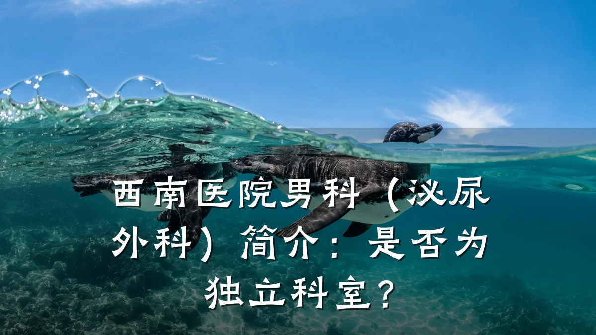 西南医院男科(泌尿外科)简介:是否为独立科室?