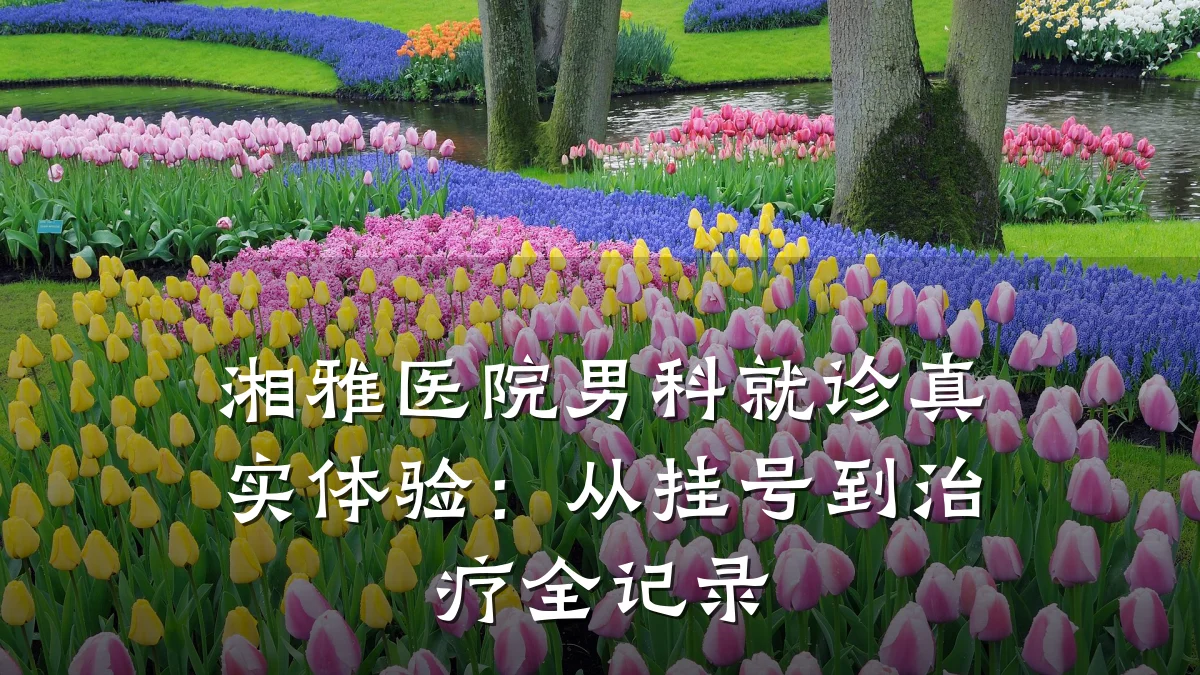 湘雅医院男科就诊真实体验:从挂号到治疗全记录