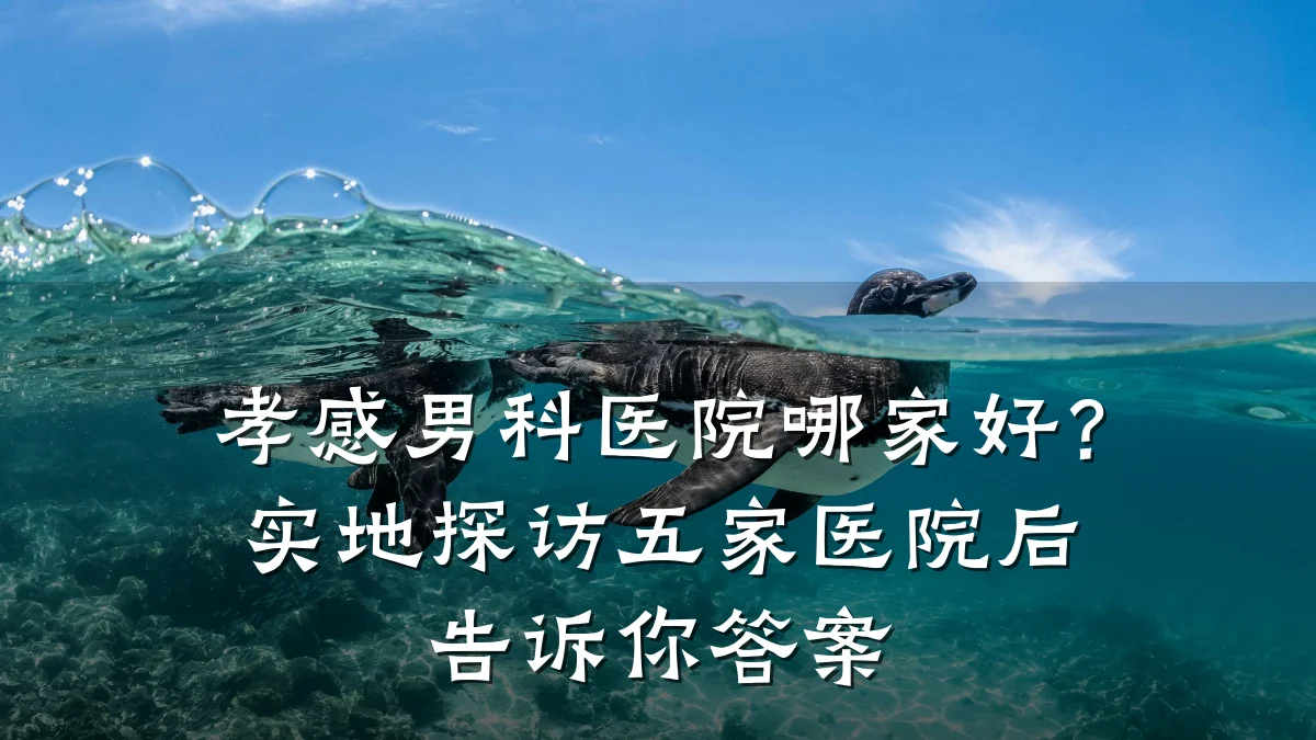 孝感男科医院哪家好?实地探访五家医院后告诉你答案