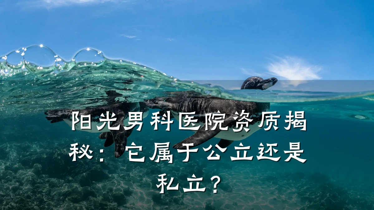阳光男科医院资质揭秘:它属于公立还是私立?