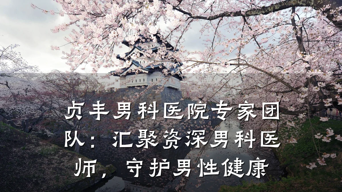 贞丰男科医院专家团队:汇聚资深男科医师,守护男性健康