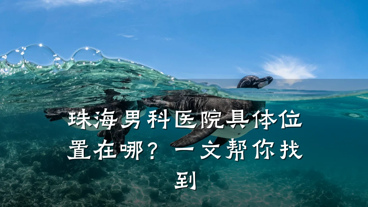 珠海男科医院具体位置在哪?一文帮你找到