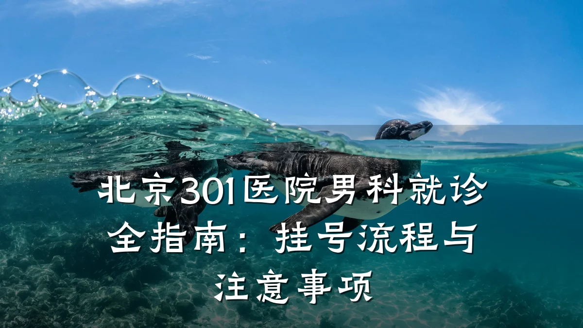 北京301医院男科就诊全指南:挂号流程与注意事项