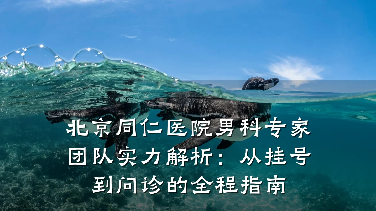 北京同仁医院男科专家团队实力解析:从挂号到问诊的全程指南