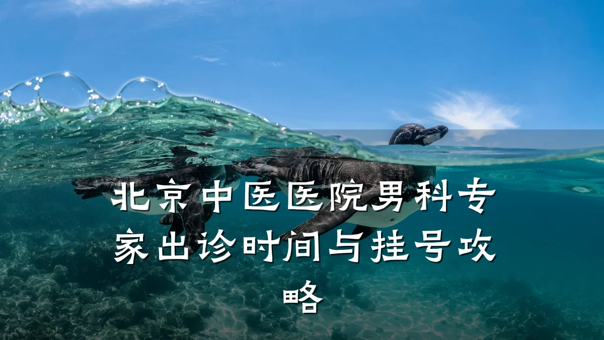 北京中医医院男科专家出诊时间与挂号攻略